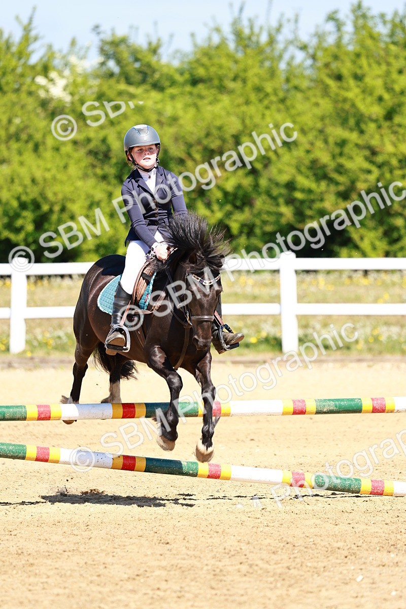 SBM_007031 - Class 3 - 60cm