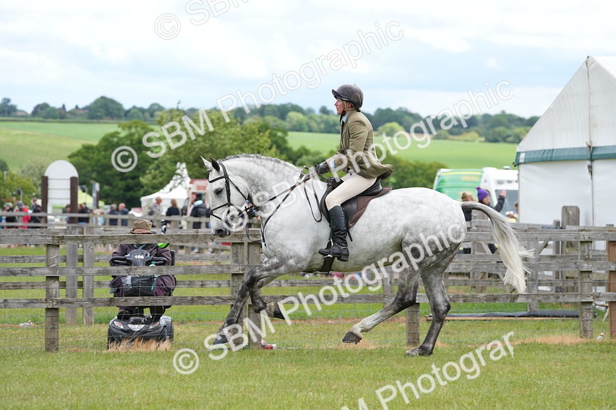 SBM_14888 - Class 100-102 - RIHS Working Hunter