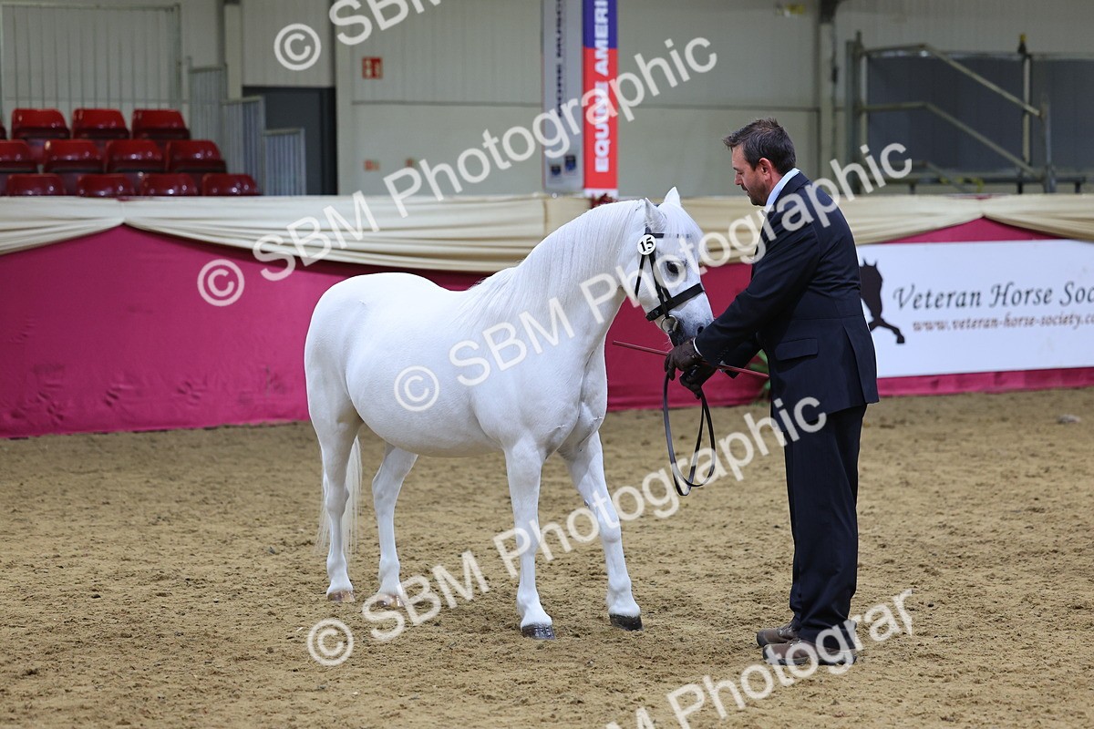 SBM_18645 - Class C Best Turned Out Champ