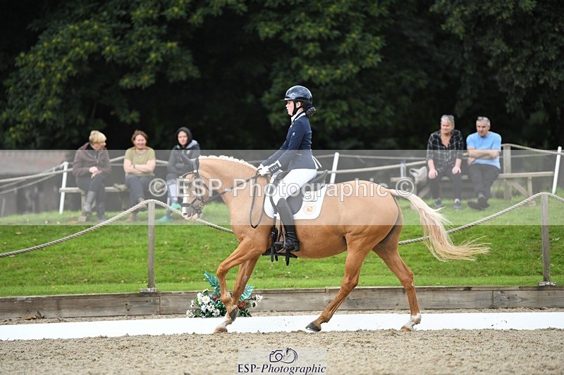 230812-123954-04188 - Cls 6 Novice Silver 12.10 to End