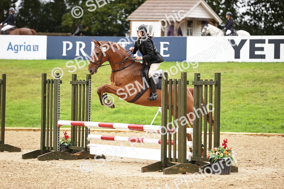 SBM_33259 - J38 - Senior Horse & Pony 80cm Championship