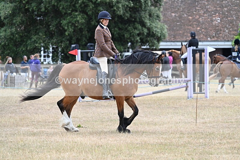WJ7_0523 - Class 6 Ridden Mountain and Moorland
