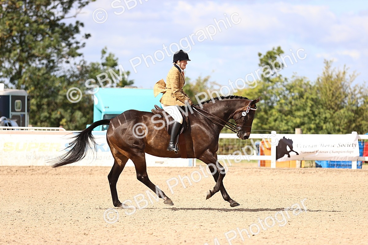 SBM_12921 - Class 410 - Grassroots Ridden - Horse