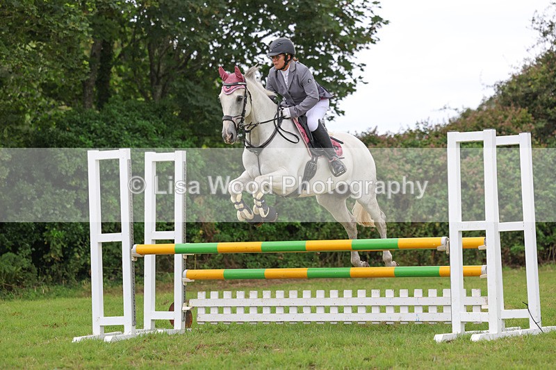 3E7A7230 - Class 5: Senior British Novice/90cm open