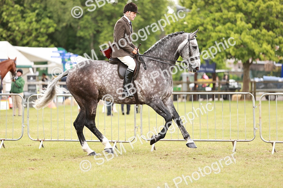 SBM_10920 - Class 81-84 - RIHS Ridden hunters Inc Ladies Hunter