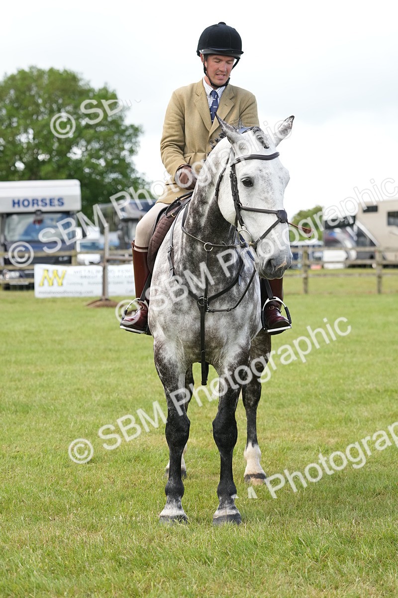 SBM_14904 - Class 100-102 - RIHS Working Hunter