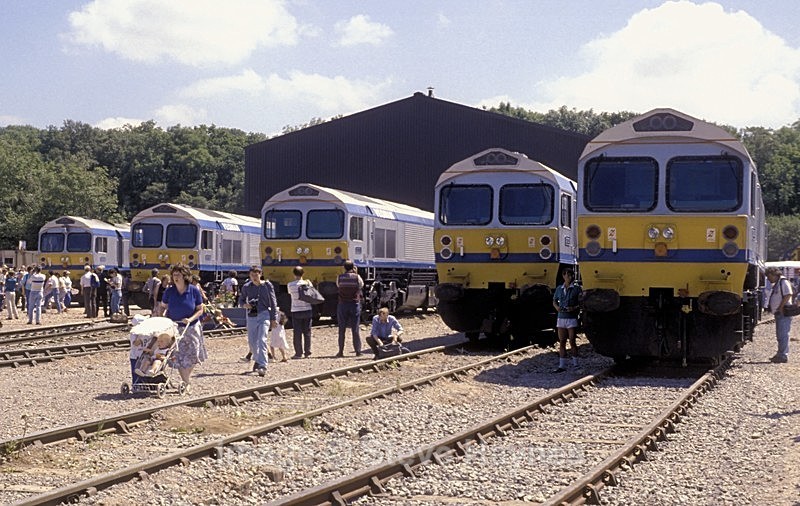 25th June 1989 - Merehead, Somerset