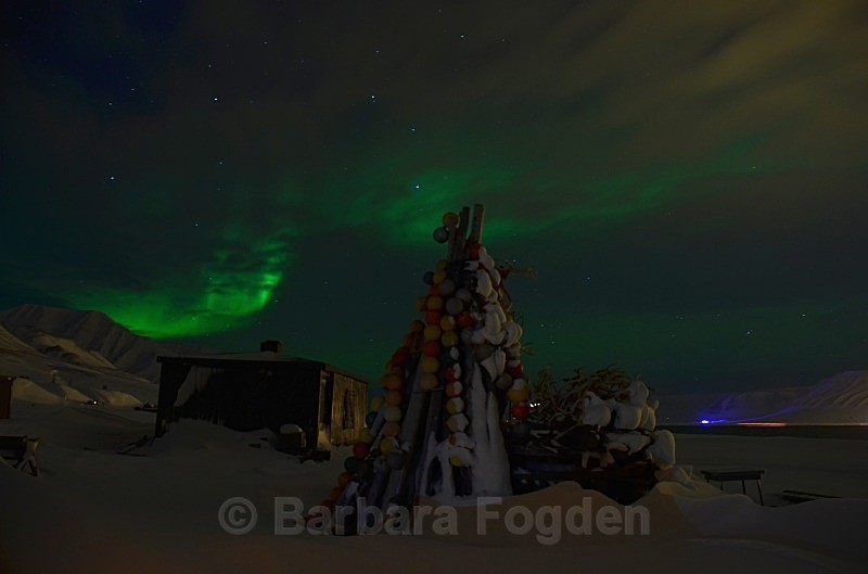 Northernlight 0228 - Polar night