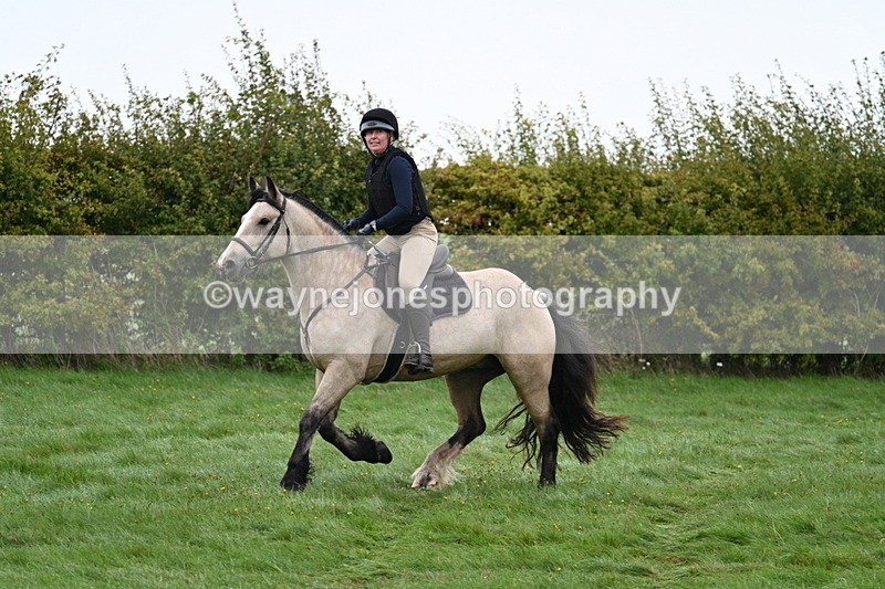 WJ7_7517 - Time 10:05 to 10:30  (3 cameras)