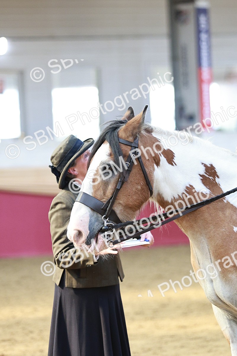 SBM_07099 - Class 10R - Regional Ridden Diamond