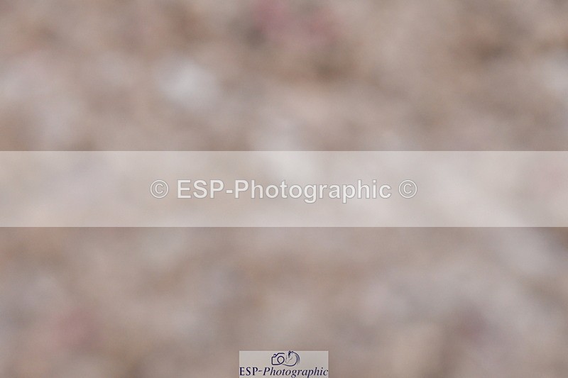 240107A-091232-00046 - Quest DR Tests