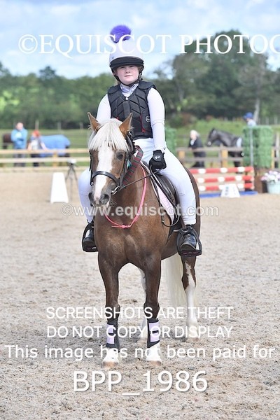 BPP_1986 - DERBY CLASS 5 - 60CM