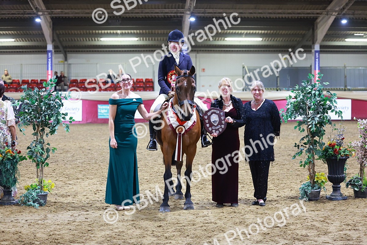 SBM_14998 - Class M - Equitation Champ