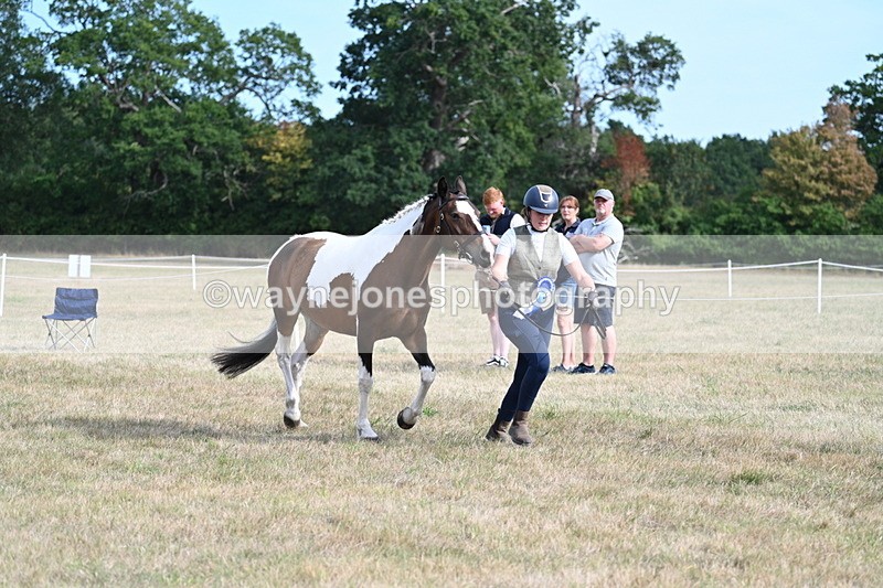 WJ7_8171 - In-hand Championship
