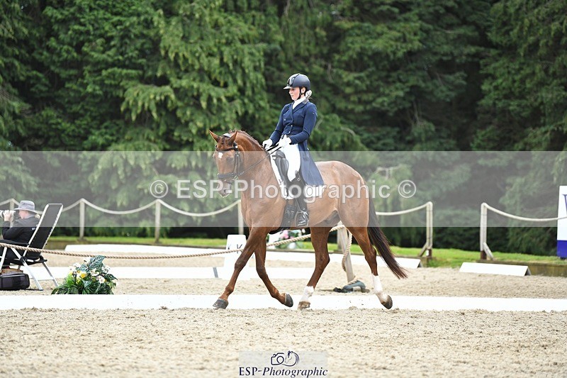 230812-140737-04609 - Cls 7 FEI PSG Bronze