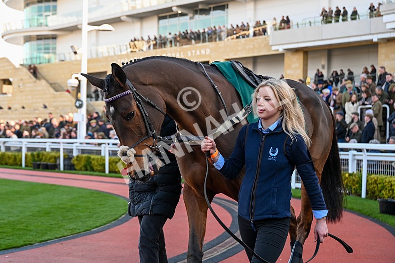 141224-Race 4-Fugitif-0610 - Race 4