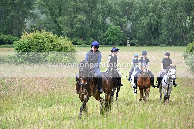 WJ6_7904 - Camera 1 Gallops