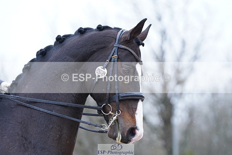 250214-121026-00519 - 211-Hope.Hughes-Catherston.Oakley