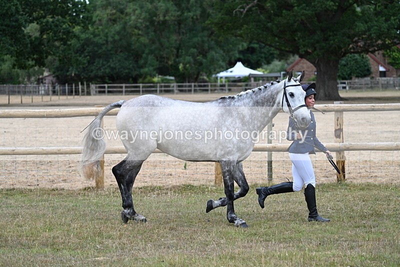 WJ7_8722 - Class 4a Prettiest Mare 14.2hh and over