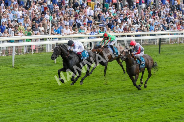 100923-Race 2-Florida-3797 - Race 2 2.15pm John And Judith Marshall Memorial Handicap