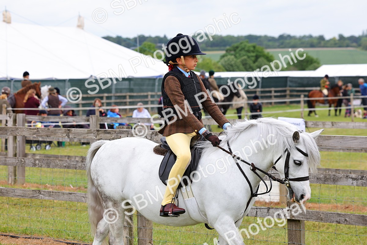 SBM_08448 - Class 42-43 - LIHS BSPS Heritage Working Sports Pony