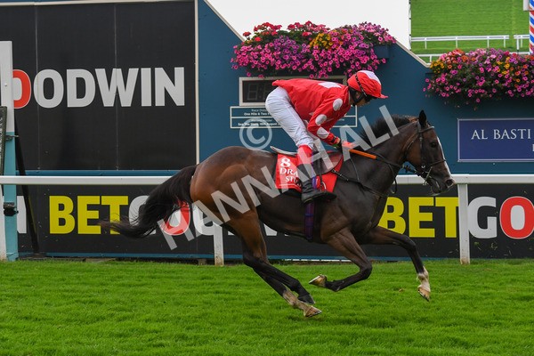 100923-Pony Race 2-0283 - Pony Race 2 12.45 The Dragon (TV and Film) Studios Pony Race 148cm & Under