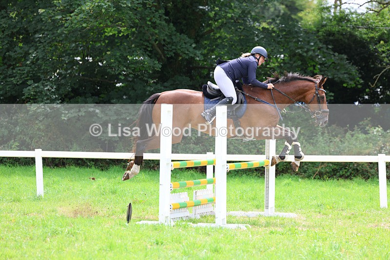 3E7A7335 - Class 5: Senior British Novice/90cm open