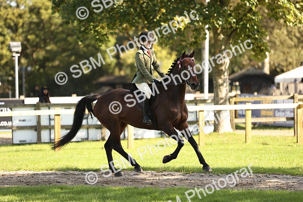 SBM_16982 - S2 - TSR Ridden Pony Showing
