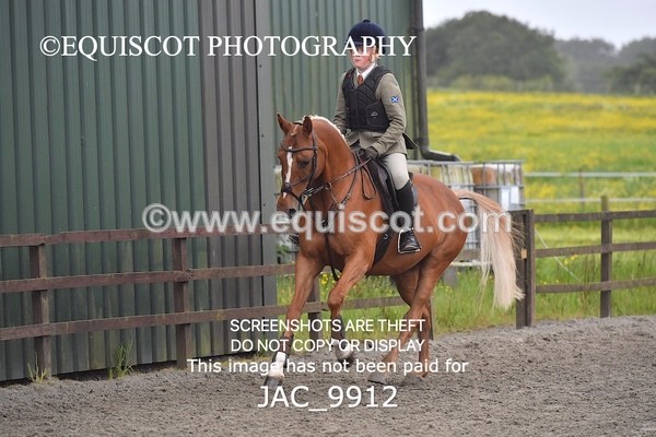 JAC_9912 - CLASS 3 Intermediate Working Hunter (0.70m - 0.85m)
