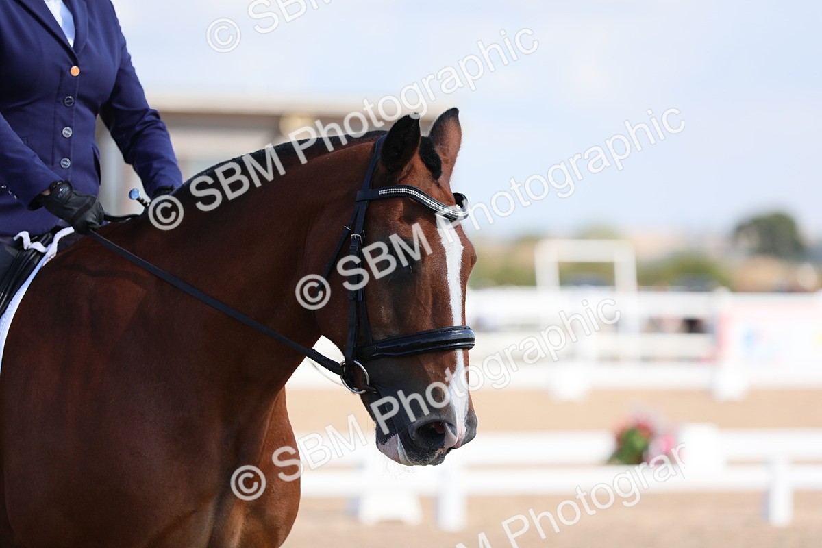 SBM_03834 - Class 31 Prelim 1