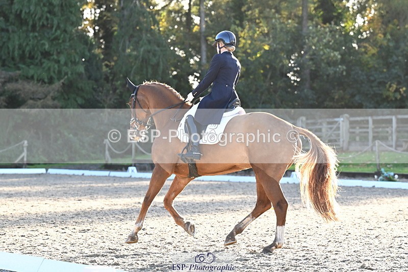 251023A-162529-06070 - B-170-Mollie.Summerland