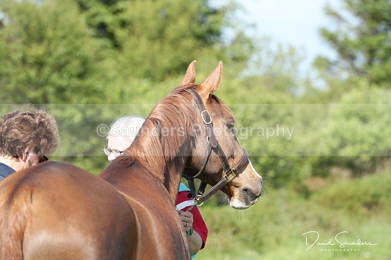 SPXX0016 - Friday vetting