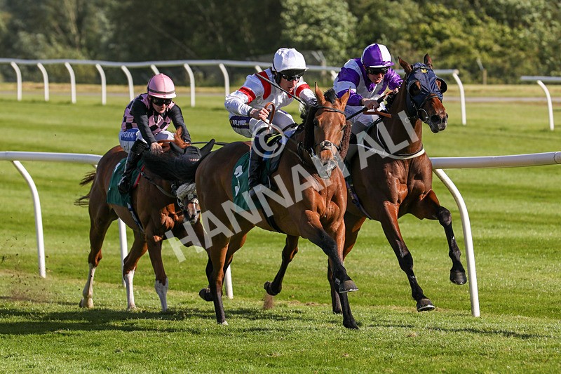 080624-Race 7-Starshine Legend-5101 - Race 7