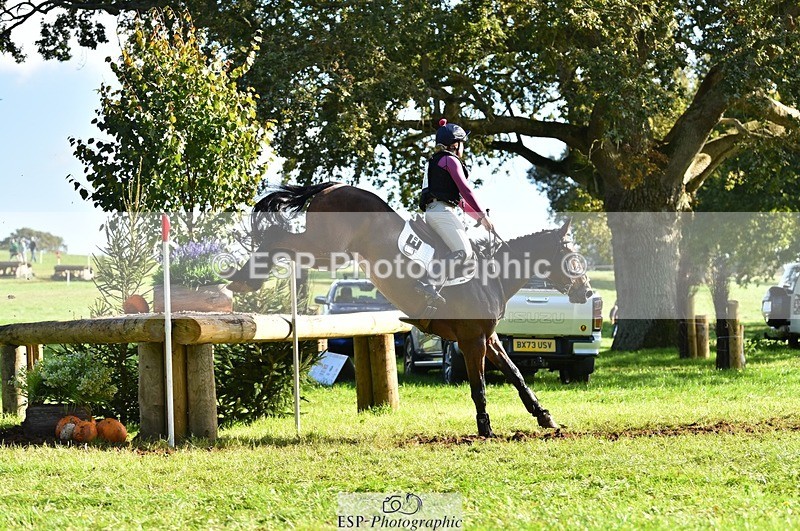 231022-115244-26133 - 261-TATTLER-Eugena.Barker-XC