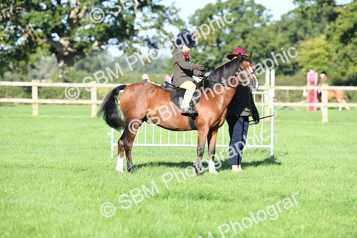 SBM_35346 - S17 - Condition & Turnout - Lead Rein