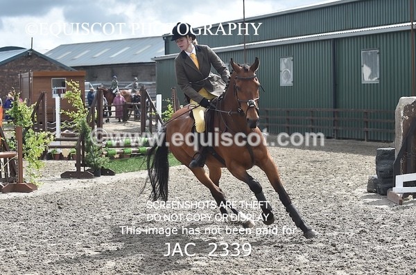 JAC_2339 - CLASS 3 Intermediate Working Hunter