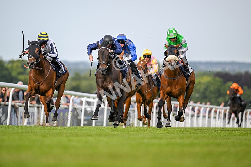 050724-Race 3-Organic-0635 - Race 3