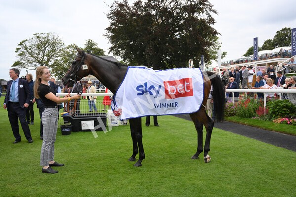 yr20082021r1-48 - Race 1 1.50pm Sky Bet Stakes