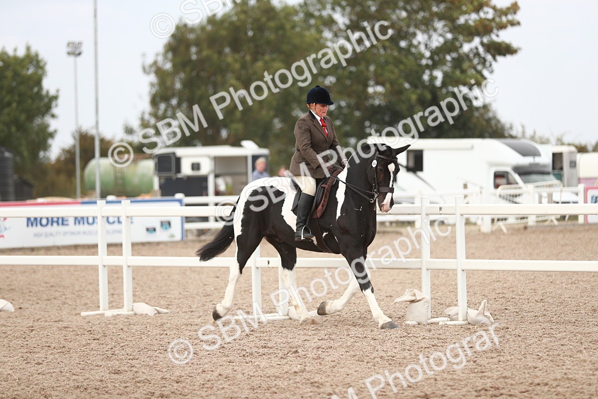 SBM_16608 - Class 214 Ridden Cob