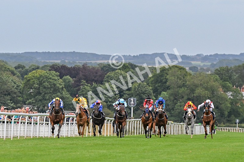 150824-Race 3-Go On Rosie-4116 - Race 3