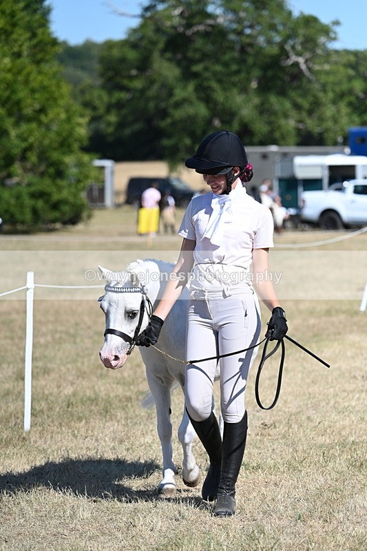 WJ7_1783 - Class 43 Best Six Legs (In hand)
