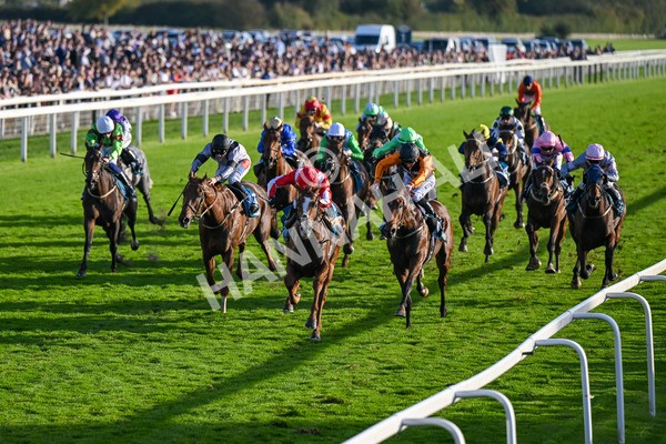 111025-Race 6-Berkshire Sundance-9008 - Race 6 Coral Racing Club Stayers Handicap at York