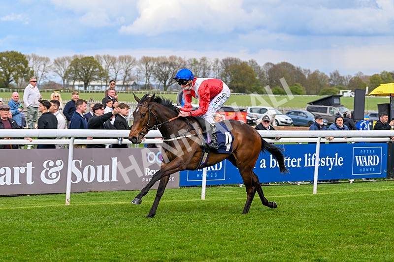 150426-Race 2-Princesse DOrange-5378 - Race 2