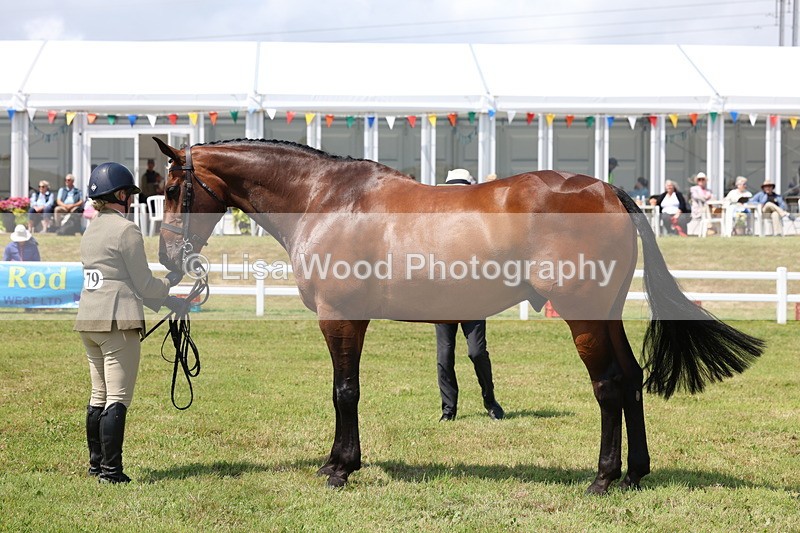 3E7A1699 - Class 9: Open Hunter