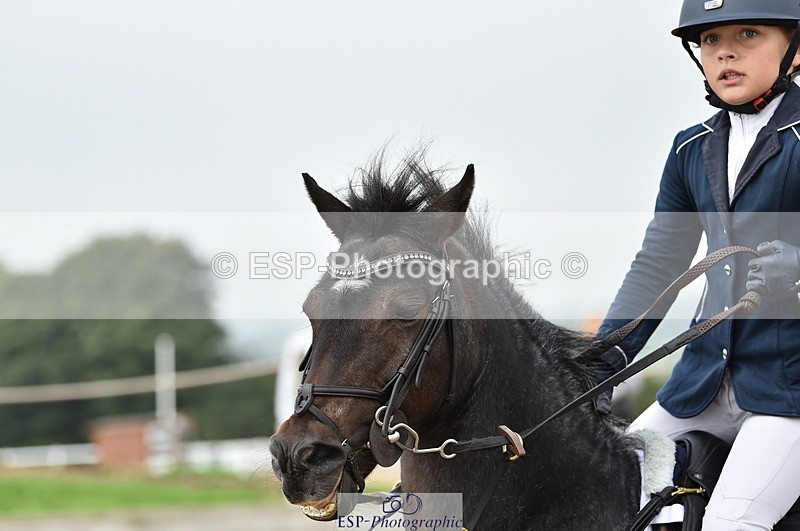 230902A-111930-00669 - Cls 2B Pony Small 80cm