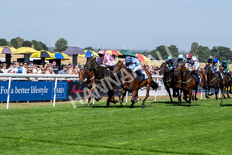 120826-Race 3-Sir David-6121 - Race 3 15.15pm Clearanswer Call Centres Handicap