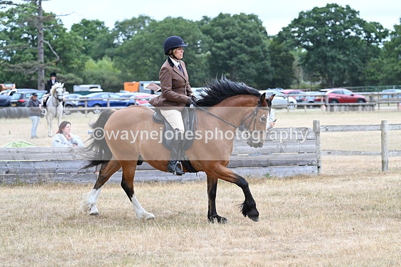 WJ7_0554 - Class 6 Ridden Mountain and Moorland