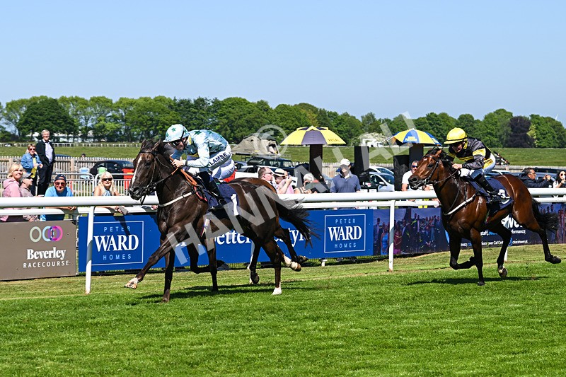 130525-Race 2-Bust A Moon-9607 - Race 2