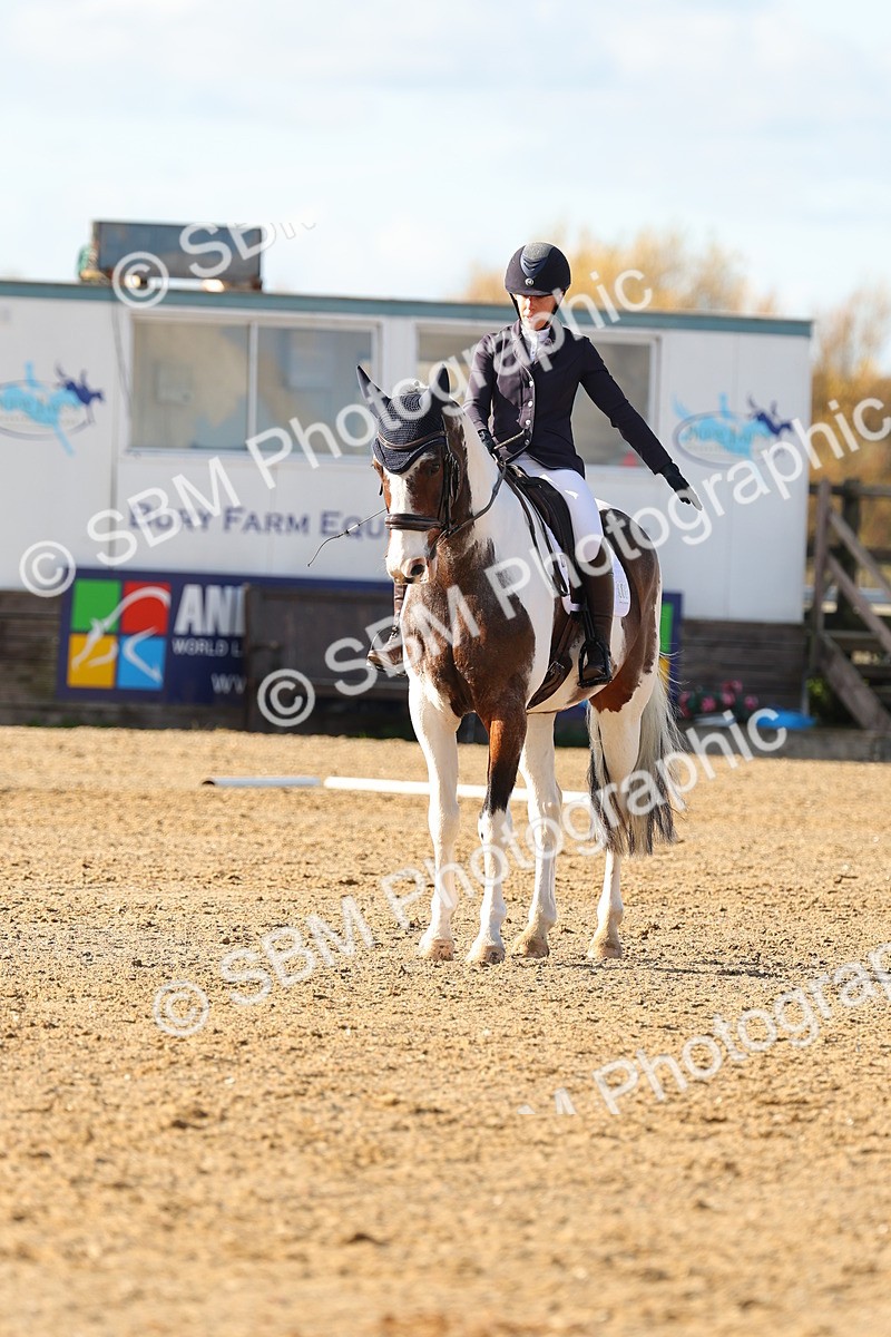 SBM_001155 - Novice 5