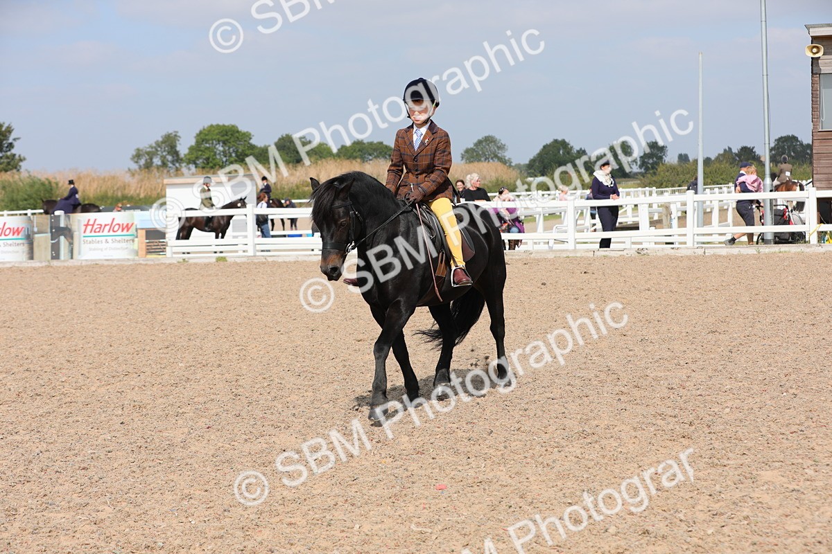 SBM_14721 - Class 310 First Ridden Pony